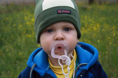 Portrait of the little boy on a background of a blossoming meadowの写真素材