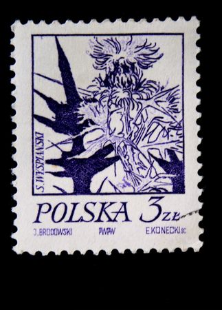 A stamp printed in Poland shows image of Thistle, one stamp of series, circa 1960sの写真素材