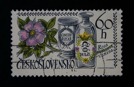 A stamp printed in Czechoslovakia shows Medical products in an ancient drugstore, circa 1971の写真素材