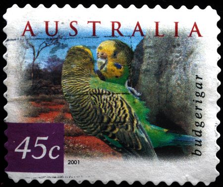  AUSTRALIA - CIRCA 2001: A stamp printed in Australia shows budgerigar - Melopsittacus undulatus, circa 2001 の写真素材