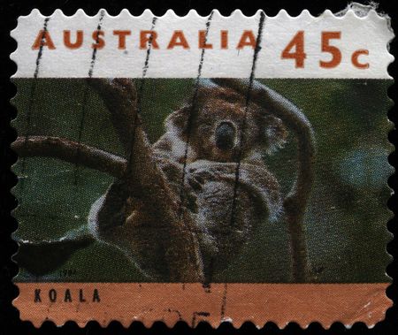  AUSTRALIA - CIRCA 1994: A stamp printed in Australia shows koala, circa 1994 の写真素材