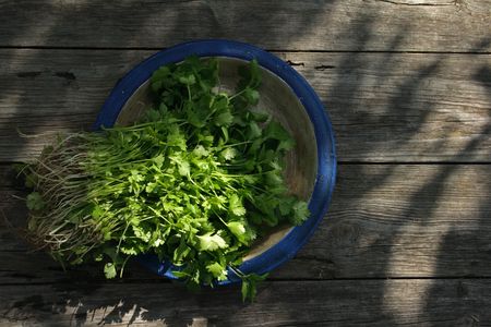 plate with organick coriander on old weawering wooden tableの写真素材