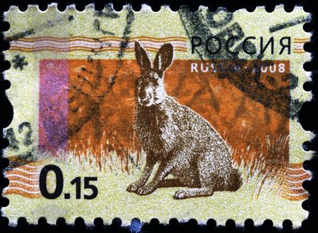 RUSSIA - CIRCA 2008: A stamp printed in Russia shows European Hare or Brown Hare - Lepus europaeus, circa 2008 の写真素材