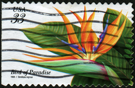 UNITED STATES - CIRCA 1999: A stamp printed in United States shows flower Bird of Paradaise -...