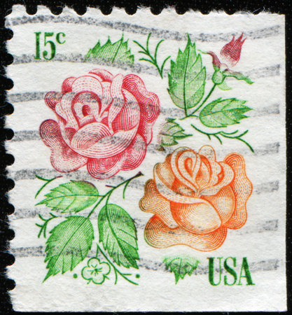 USA - CIRCA 1978: A stamp printed in USA shows two roses, circa 1978の写真 ...