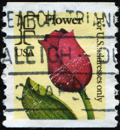 USA - CIRCA 1991: A stamp printed in USA shows red tulip, circa 1991の写真素材