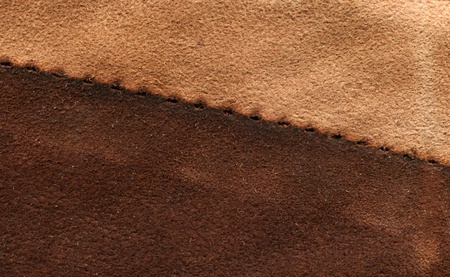 macro of chamoisの写真素材