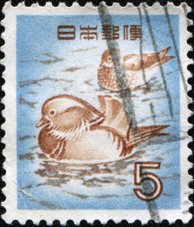 JAPAN - CIRCA 1968: A stamp printed in Japan shows Mandarin Duck  - Aix galericulata, circa 1968の写真素材
