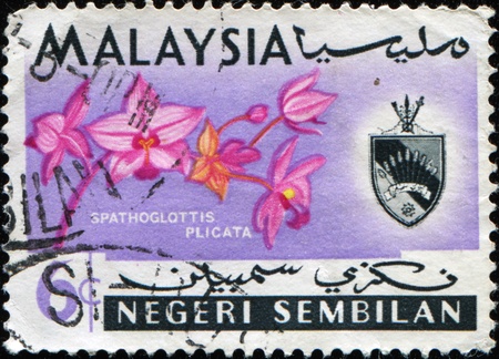 MALAYSIA - CIRCA 1965: A stamp printed in Negeri Sembilan state of Malaysia shows Vanda hookeriana is a species of orchid and coat of arms, circa 1965の写真素材