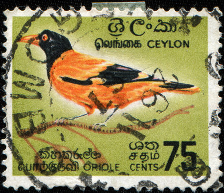 CEYLON - CIRCA 1966: A stamp printed in Ceylon shows Black-hooded Oriole - Oriolus xanthornus, circa 1966の写真素材