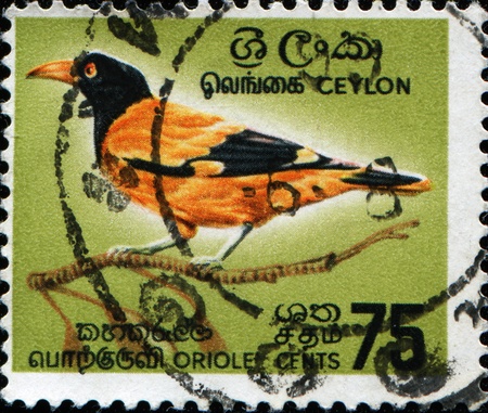 CEYLON - CIRCA 1966: A stamp printed in Ceylon shows Black-hooded Oriole - Oriolus xanthornus, circa 1966 の写真素材