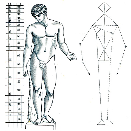 Antinous, the left diagram of the のeditorial素材