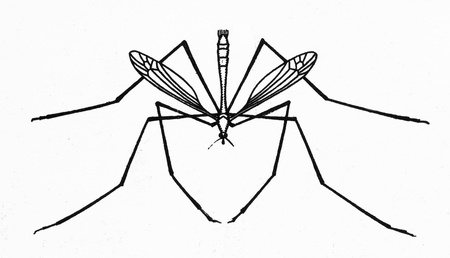 moscito - illustrations by Gregory Narbut Russian folk tale "Mansion", publisher Joseph Knebel, Moscow, 1910のeditorial素材