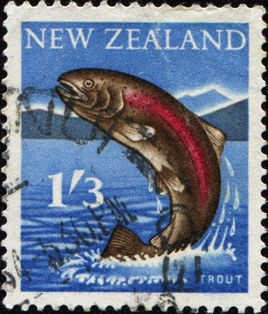 NEW ZEALAND - CIRCA 1960: A stamp printed in New Zealand shows image of a trout jumping out of water, series, circa 1960の写真素材