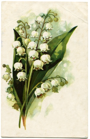 Lilies of the Valley - picture artist A Kurtenko, USSR, 1971のeditorial素材