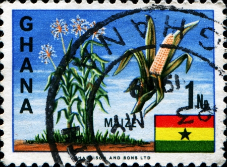 GHANA - CIRCA 1967: A stamp shows Maize, circa 1967 のeditorial素材