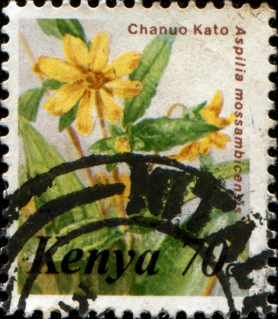 KENYA - CIRCA 183: A stamp printed in Kenya shows Aspilia mossambicensis, circa 1983の写真素材