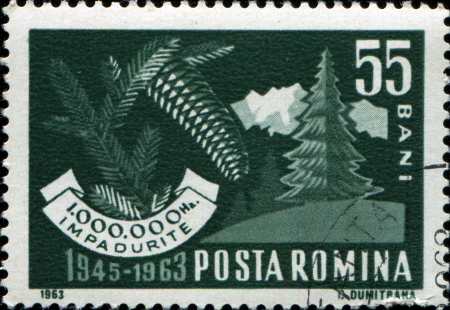 ROMANIA - CIRCA 1963: A stamp printed in Romania honoring 18th Anniversary of Reafforestation Campaign, shows Cone, Fern and Conifer, circa 1963の写真素材