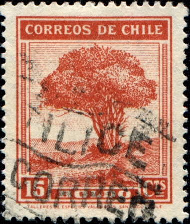 CHILE - CIRCA 1938 A stamp printed in the Chile shows Boldo - Peumus boldus, the only species in the genus Peumus, circa 1938のeditorial素材
