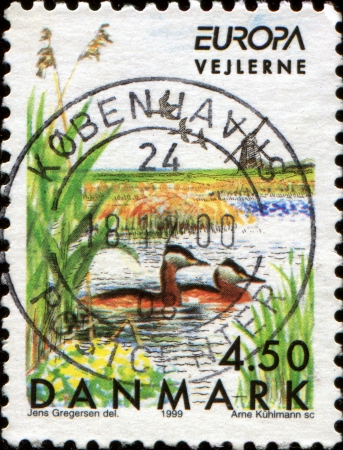 DENMARK - CIRCA 1999  A stamp printed in the Denmark shows Red-necked Grebe - Podiceps grisegena 	, circa 1999のeditorial素材