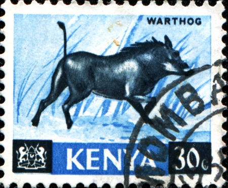  KENYA - CIRCA 1964  A stamp printed in Kenya shows warthog, circa 1964の写真素材