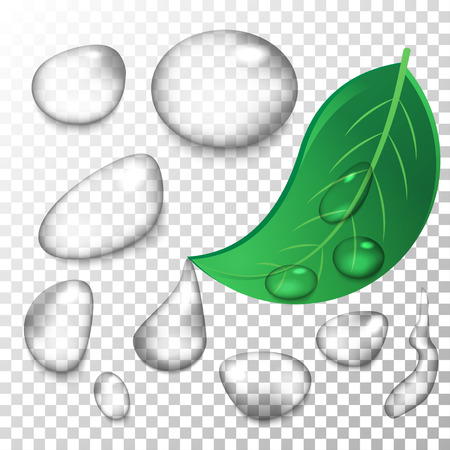 Realistic water drops with blending mode set for perfect results on raster images.のイラスト素材