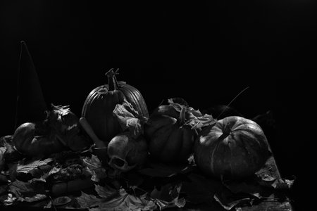 Skull, pumpkins and autumn leaves on a tableの写真素材