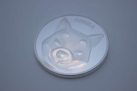 Shiba INU coin over white backgroundの写真素材