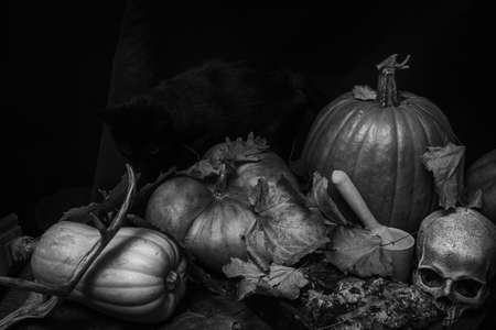 Black cat with pumpkins, skull, witch hat and autumn leaves on a table.の写真素材