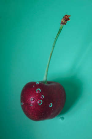 Wild cherry berry underwater over green