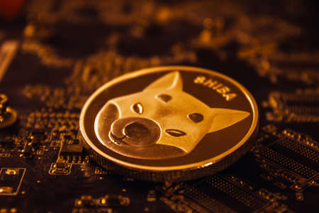 One silver shiba INU coin laying over graphic videocardの素材 [FY310172462520]