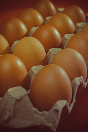 Tray of brown eggs over red backgroundの写真素材