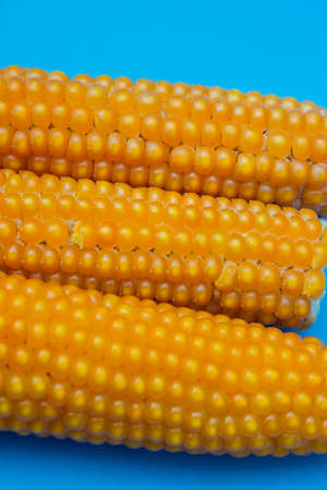 Closeup shot of  three fresh corns