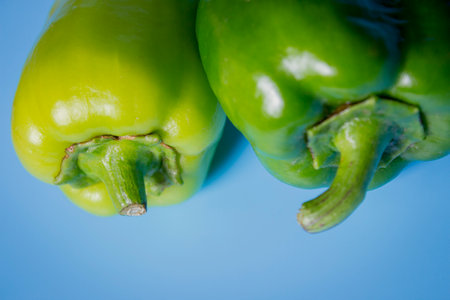 Close-up shot of two green peppers over blue backgroundの写真素材