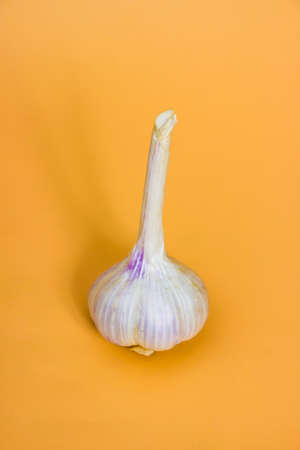 Close-up shot of garlic bulb over yellow backgroundの写真素材