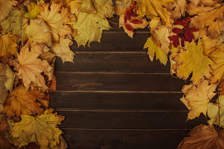 Maple leaves frame over wooden planks