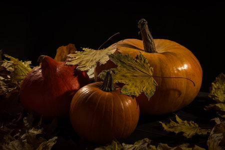 Three pumpkins and autumn leaves over dark backgroundの写真素材