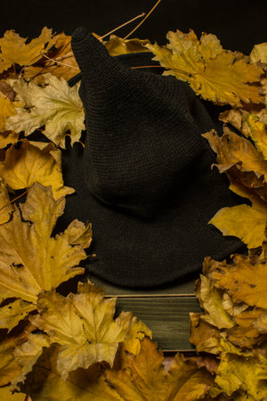 Witch hat with autumn leaves over wooden planksの写真素材