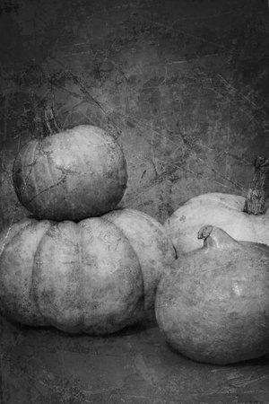 Grunged photo of fout pumpkinsの写真素材