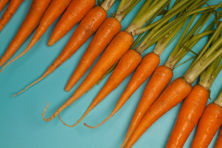 Ripe fresh carrots over blue background