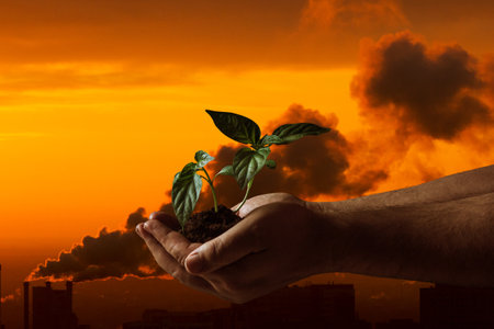 Man's hand with seedling over industrial smoke from chimney.の写真素材