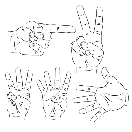 Hands のイラスト素材