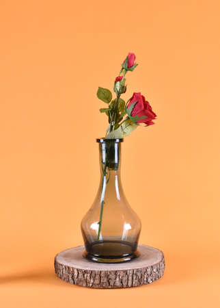 black bulb on a wooden frame with an orange backgroundの写真素材