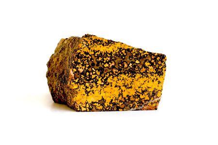 jasper isolated in whiteの写真素材