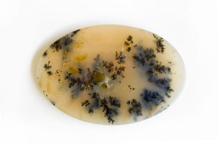 mossly opal shoted in white backgroundの写真素材