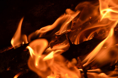 Flame of burning firewood.