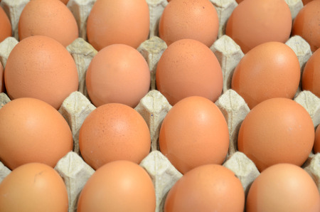Brown chicken eggs lie in the tray.