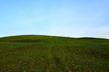 Meadow on the hill.の写真素材