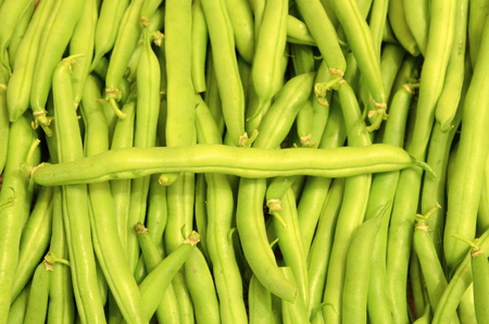 A lot of lying bean trimmings, like a background.の写真素材