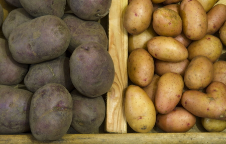 Two kinds of potatoes in a wooden crateの写真素材